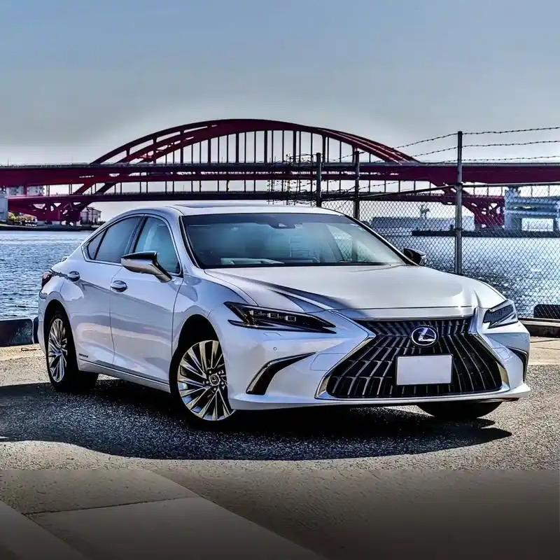 雷克萨斯张主任