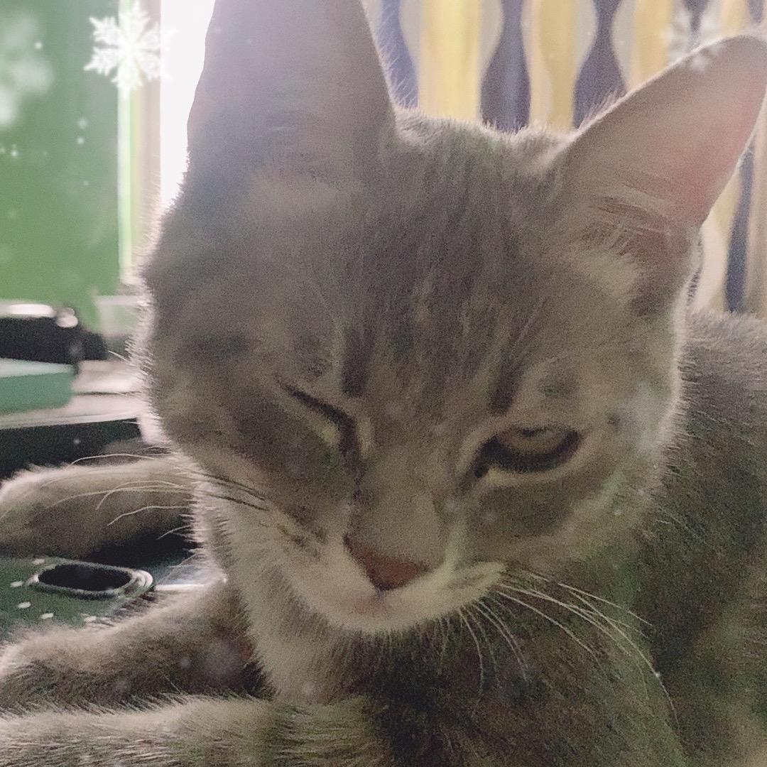 💫小咪呀🌴影视