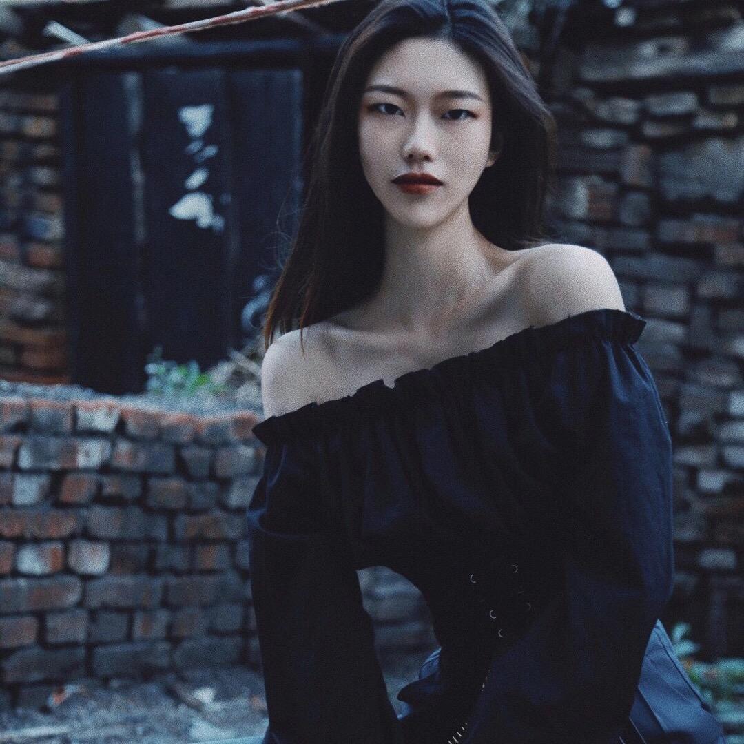 史迪崽子