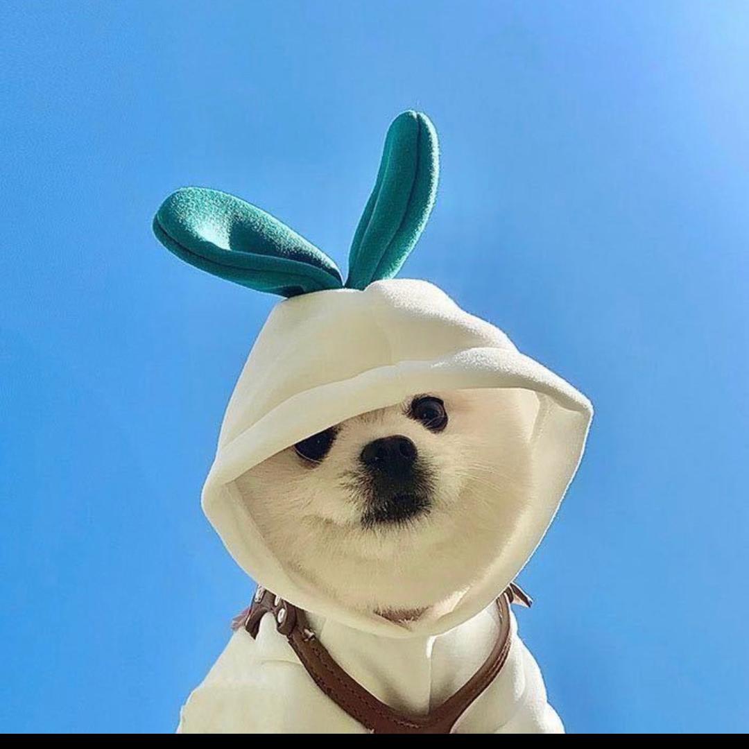 小钱包