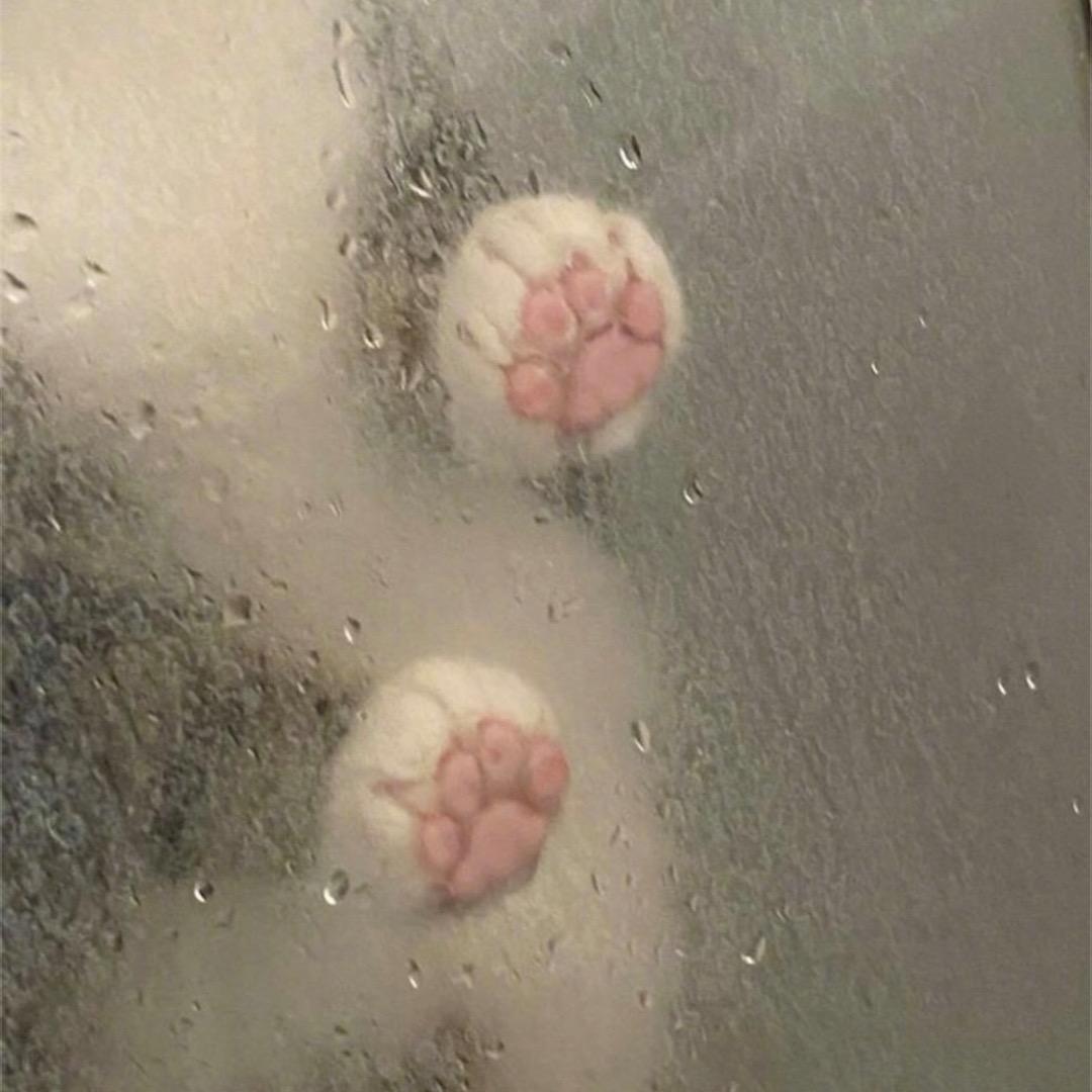 蟹子