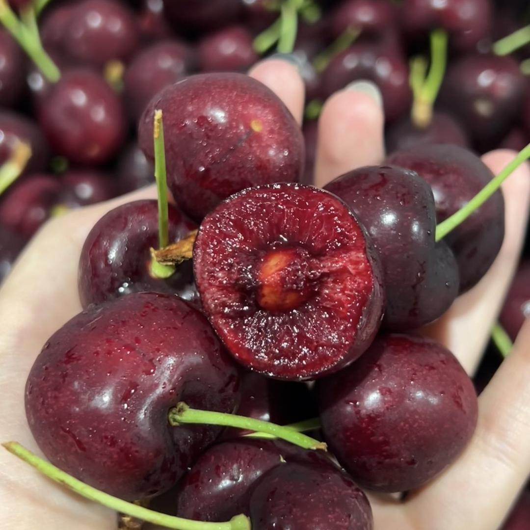 A级智利空运精选车厘子