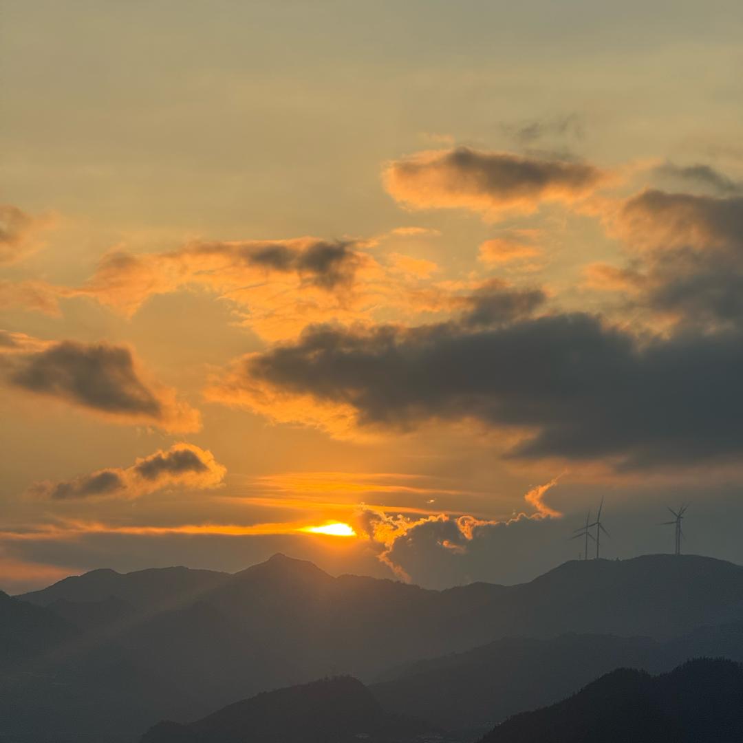 土土。
