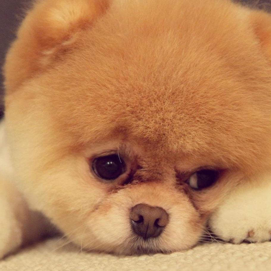 拳皇97-云南星空