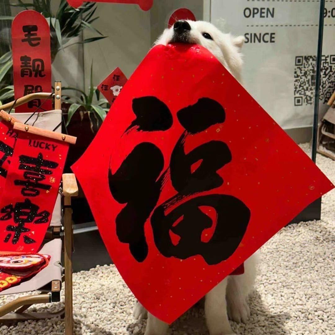 林小叮（备婚版）
