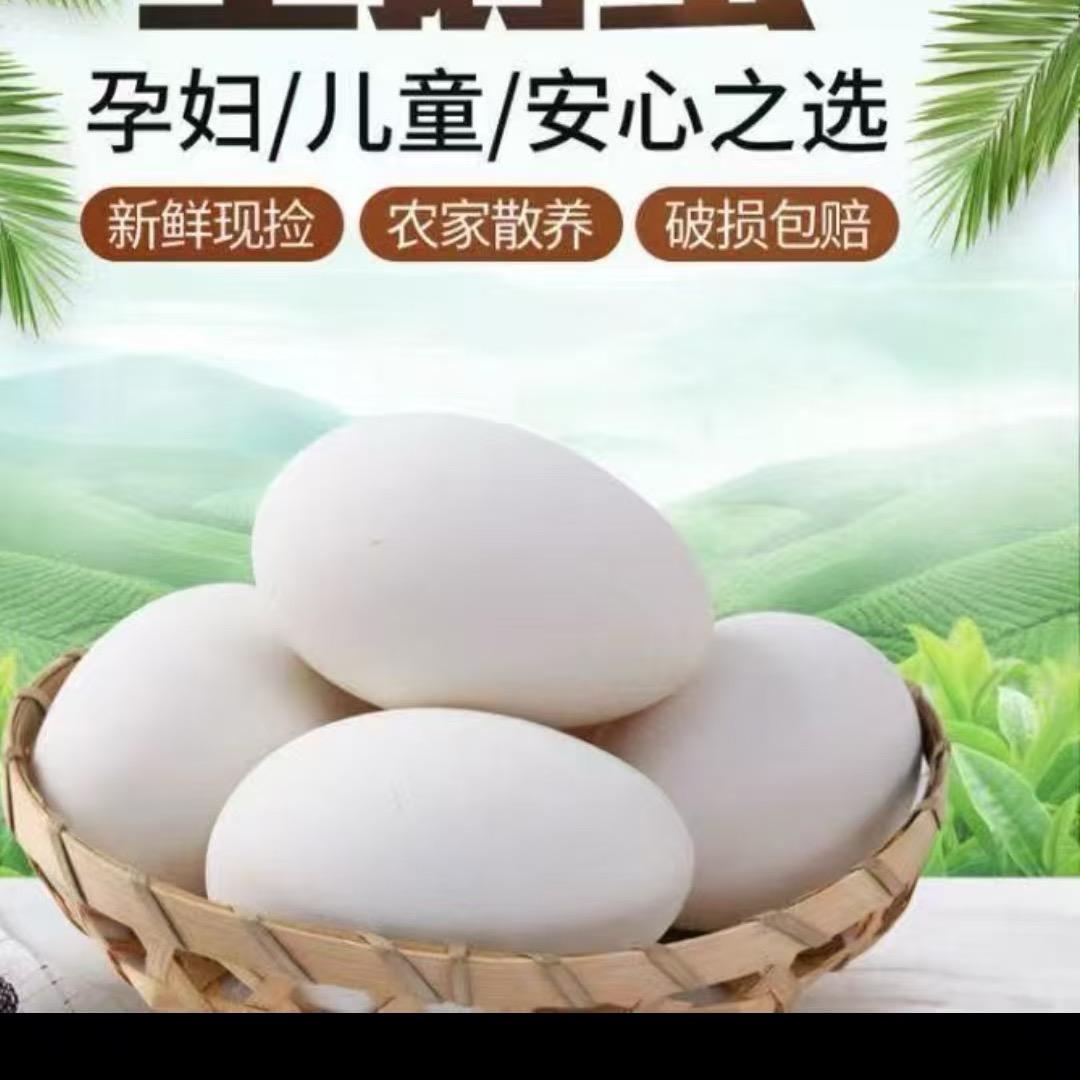 小伟甄选土鹅蛋