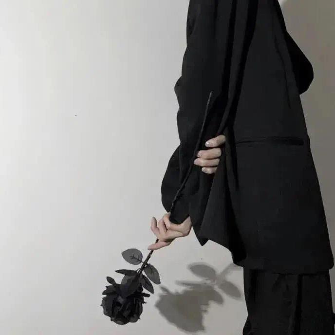 🎉小廖不吃糖🎉