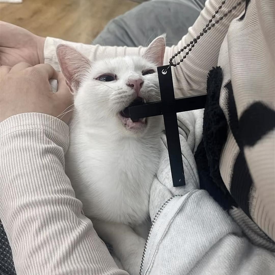 Toska