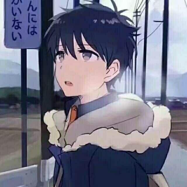 老糖今天拍照了吗