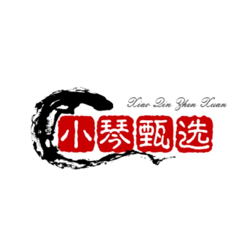 小琴甄选推荐