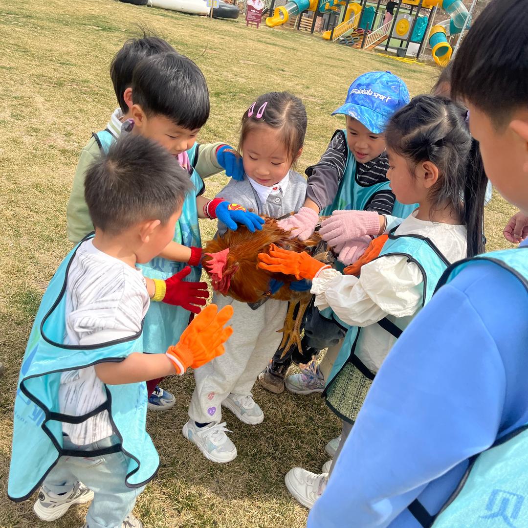 贝壳亲子遛娃【青岛】