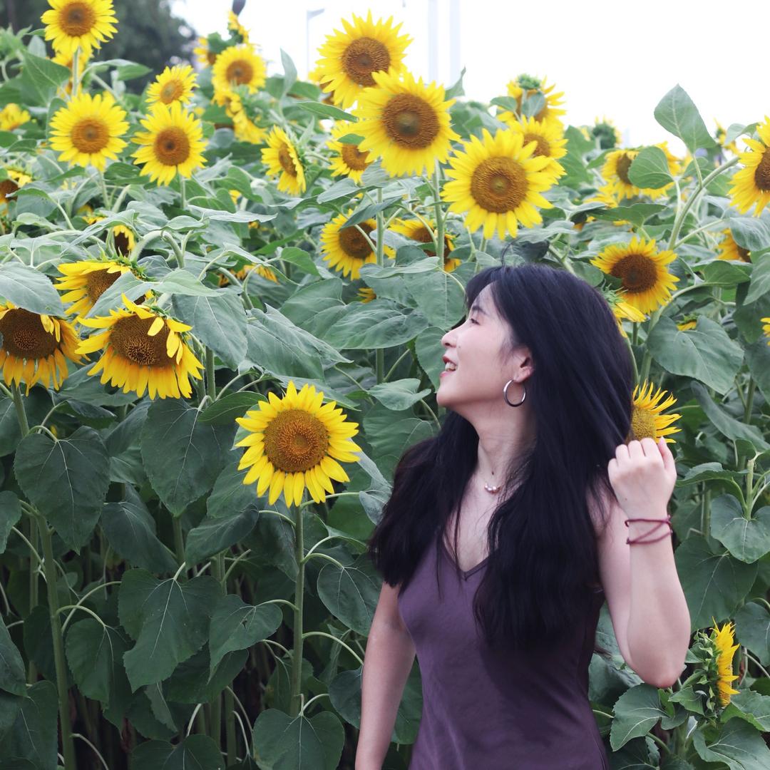 请问一下有没有卖半岛铁盒