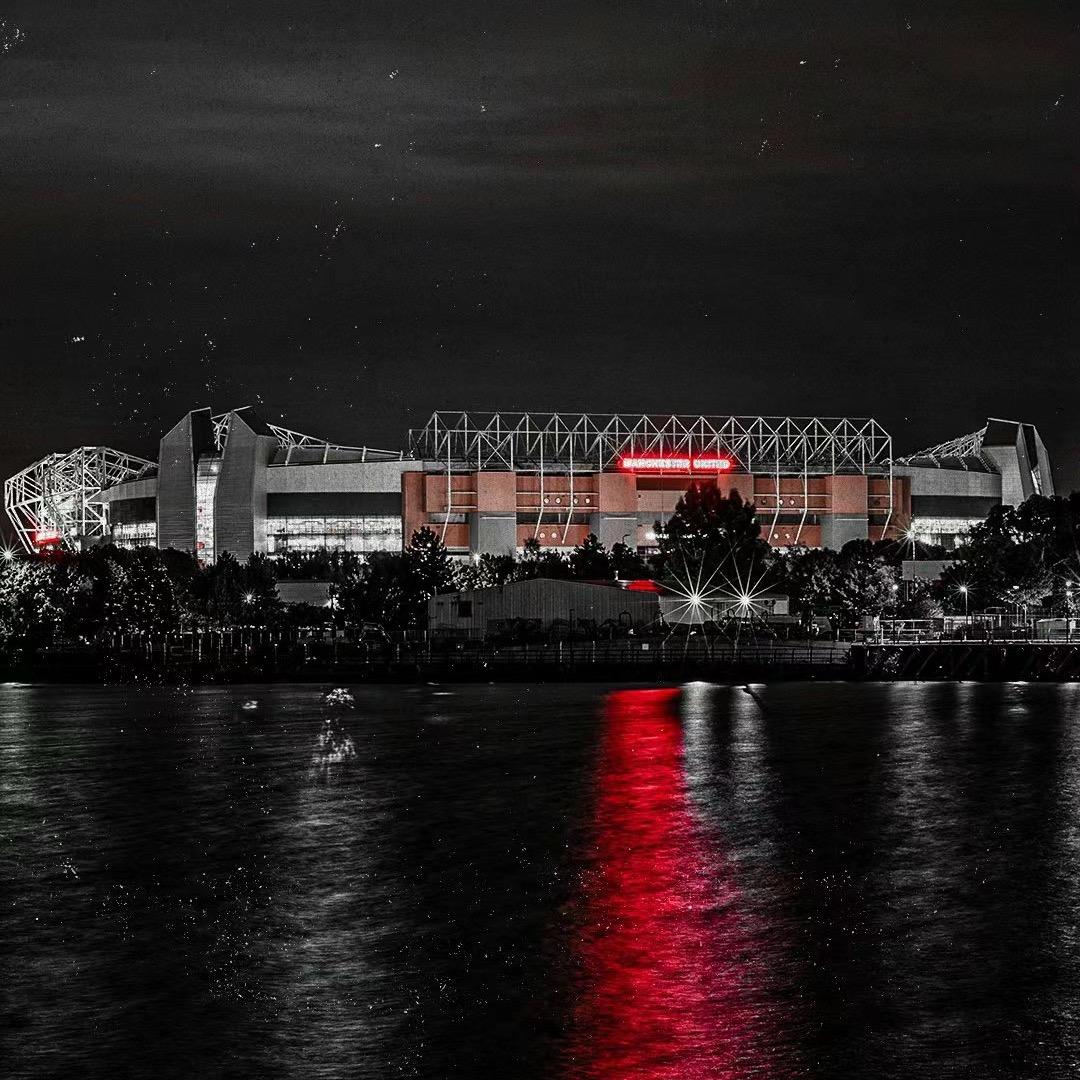 种蘑菇的小男孩