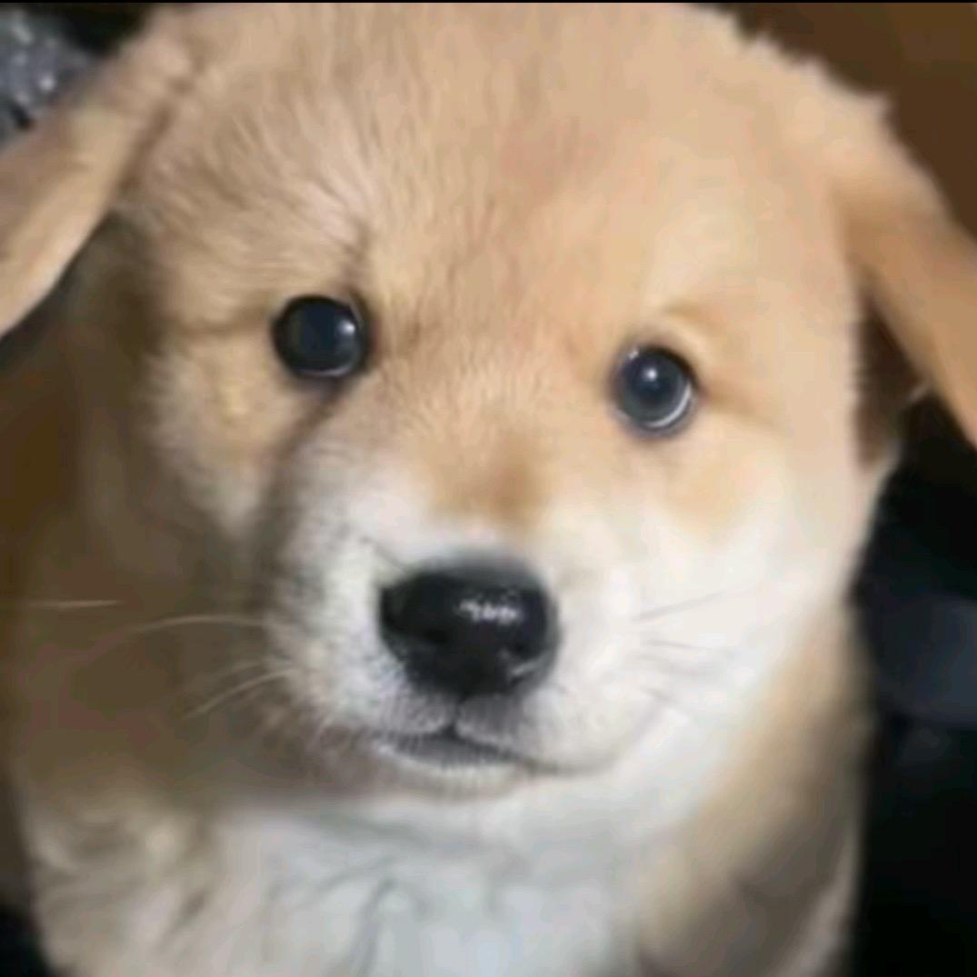 奔波儿灞