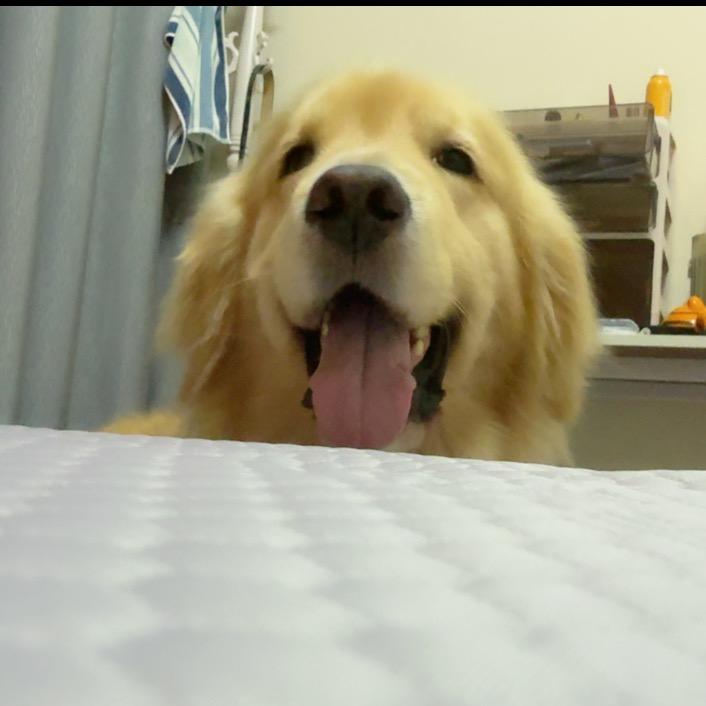 地雷喜欢睡大觉