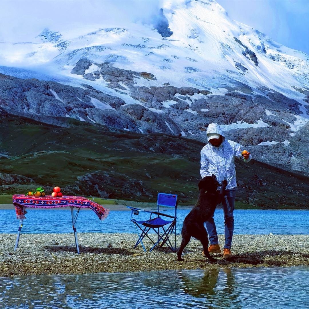 墨飞旅行