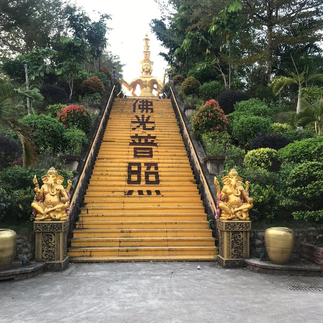 达达达