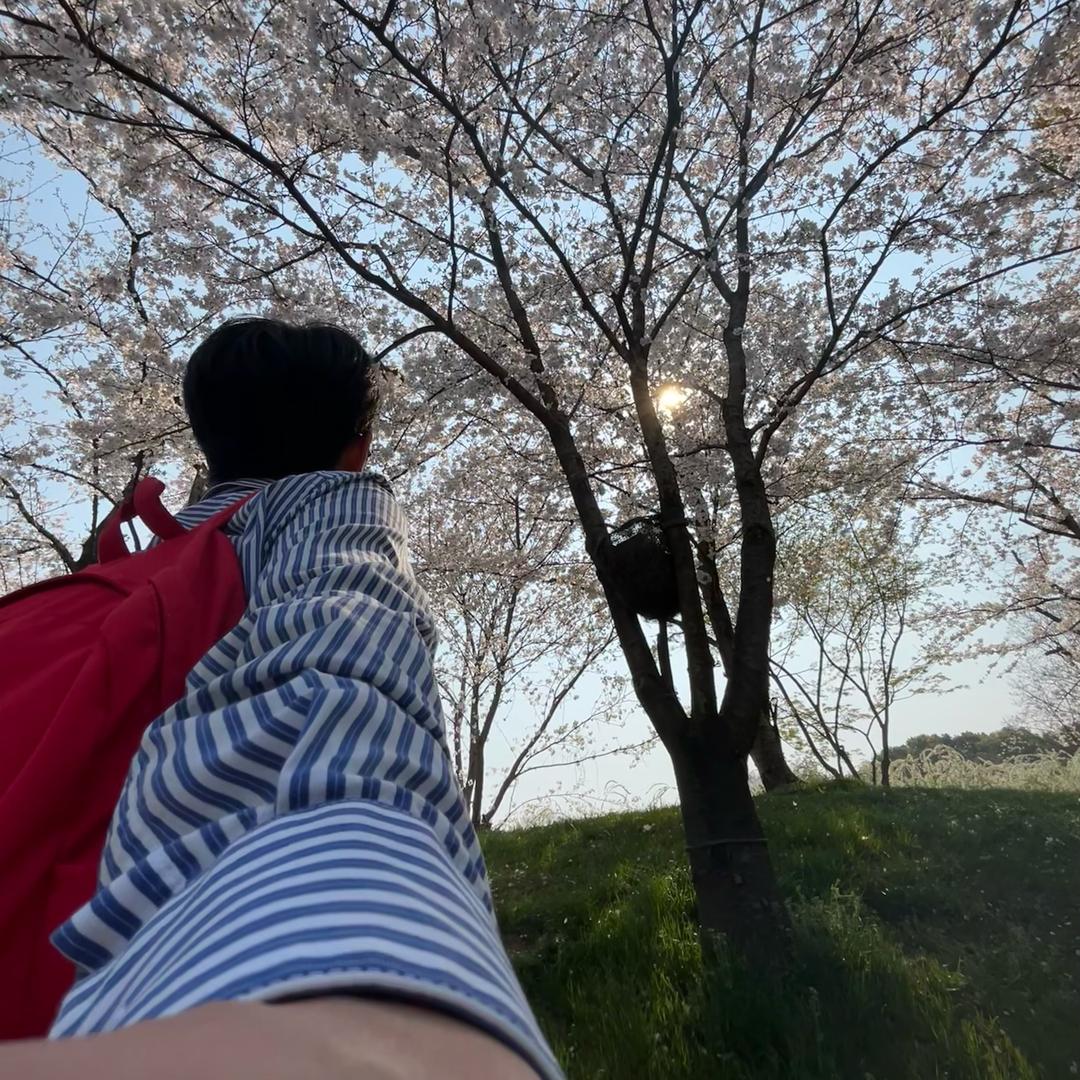菜小八