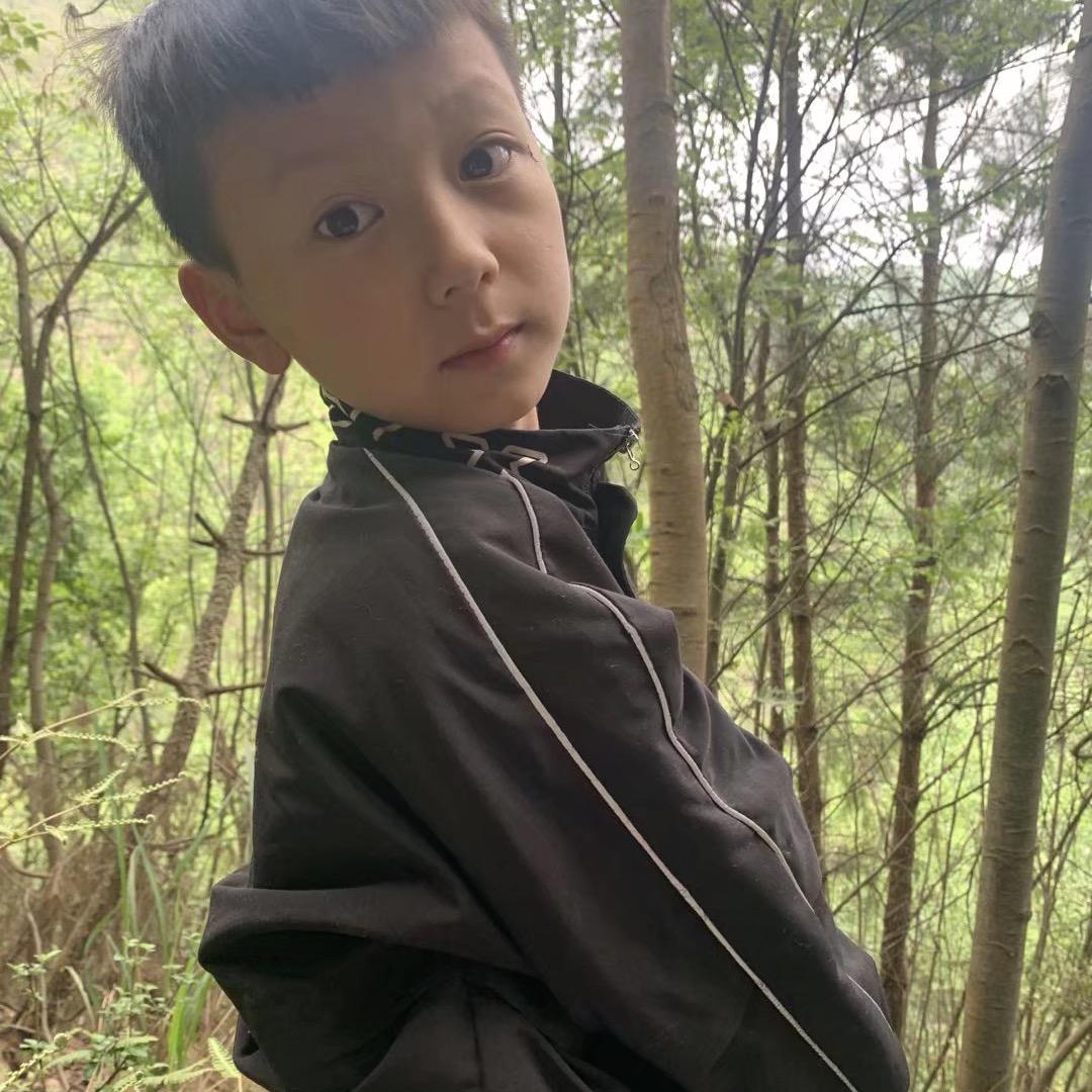 小唐，带你走向挖机的世界。