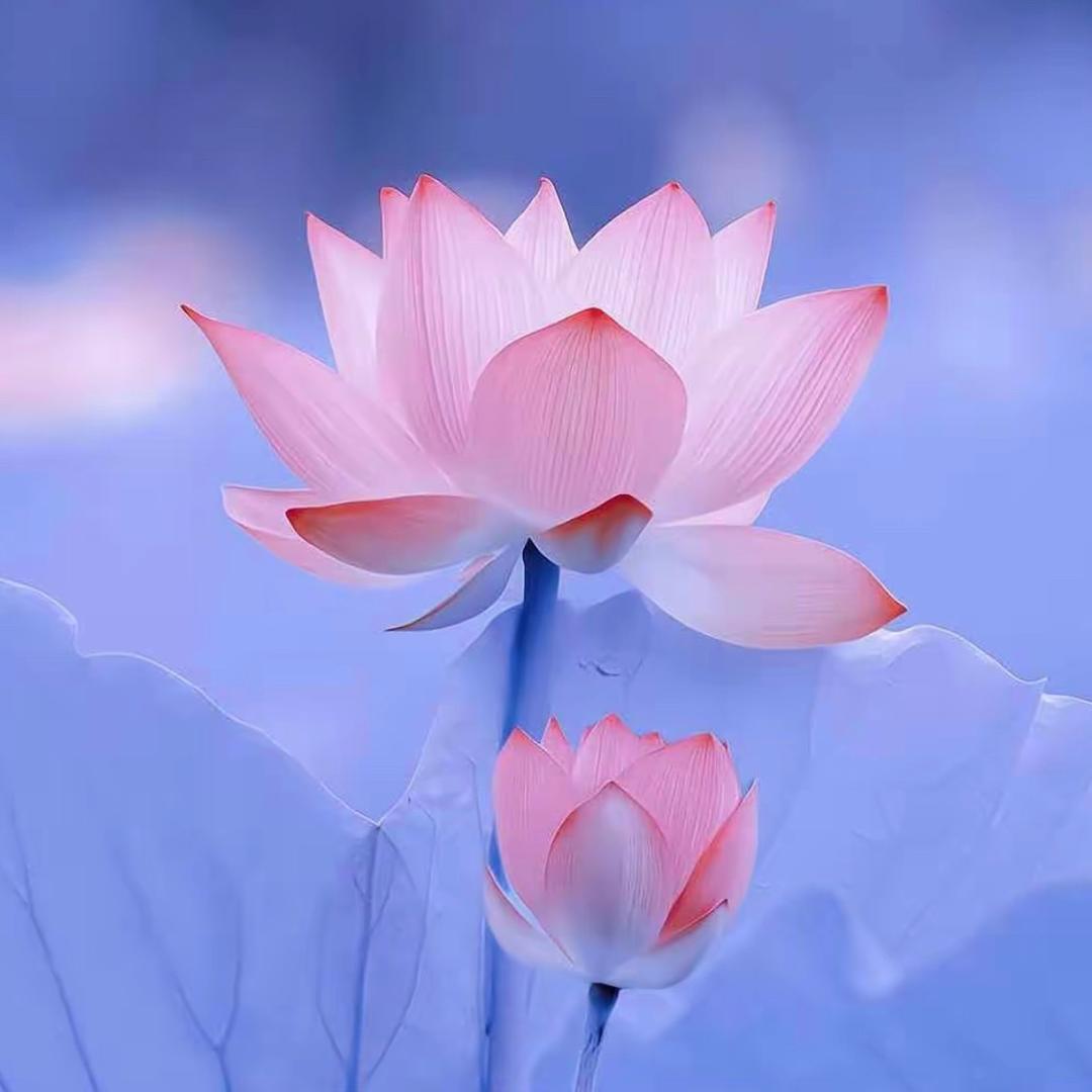 清山
