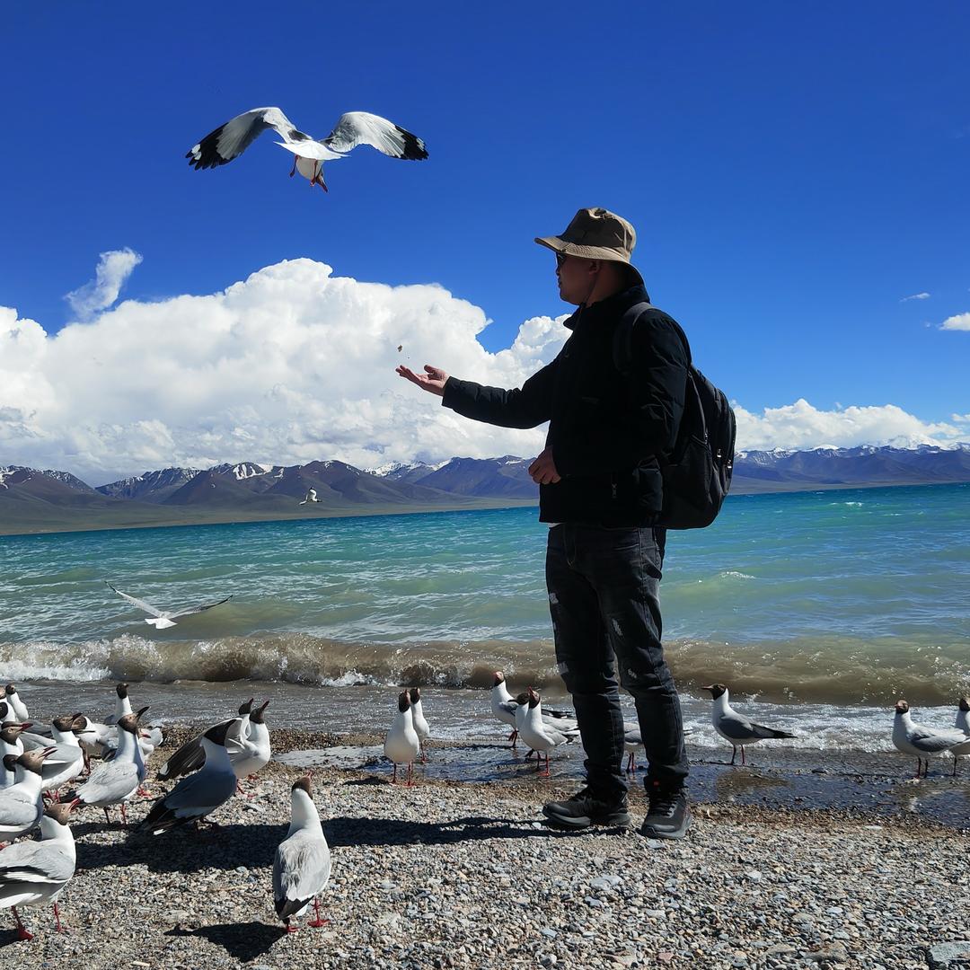 遵义二手挖机（三一主场）