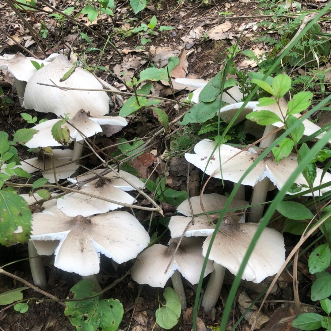 不要急