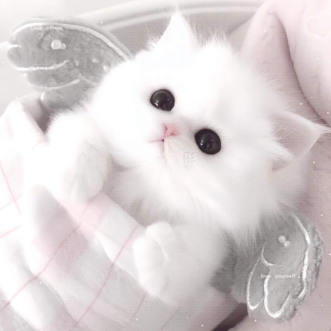 都怪你