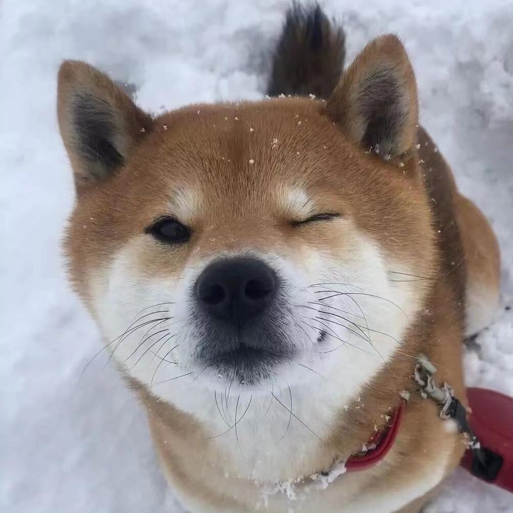 乖乖吃饭