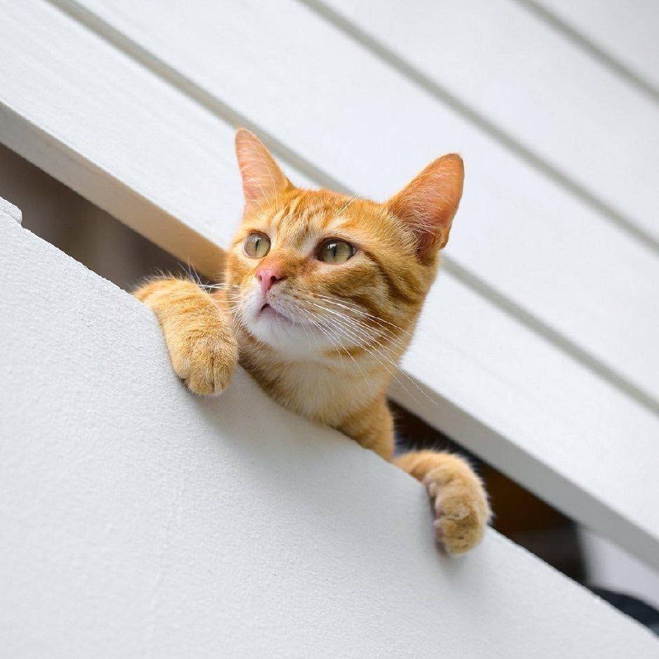 我认得你，你小心点