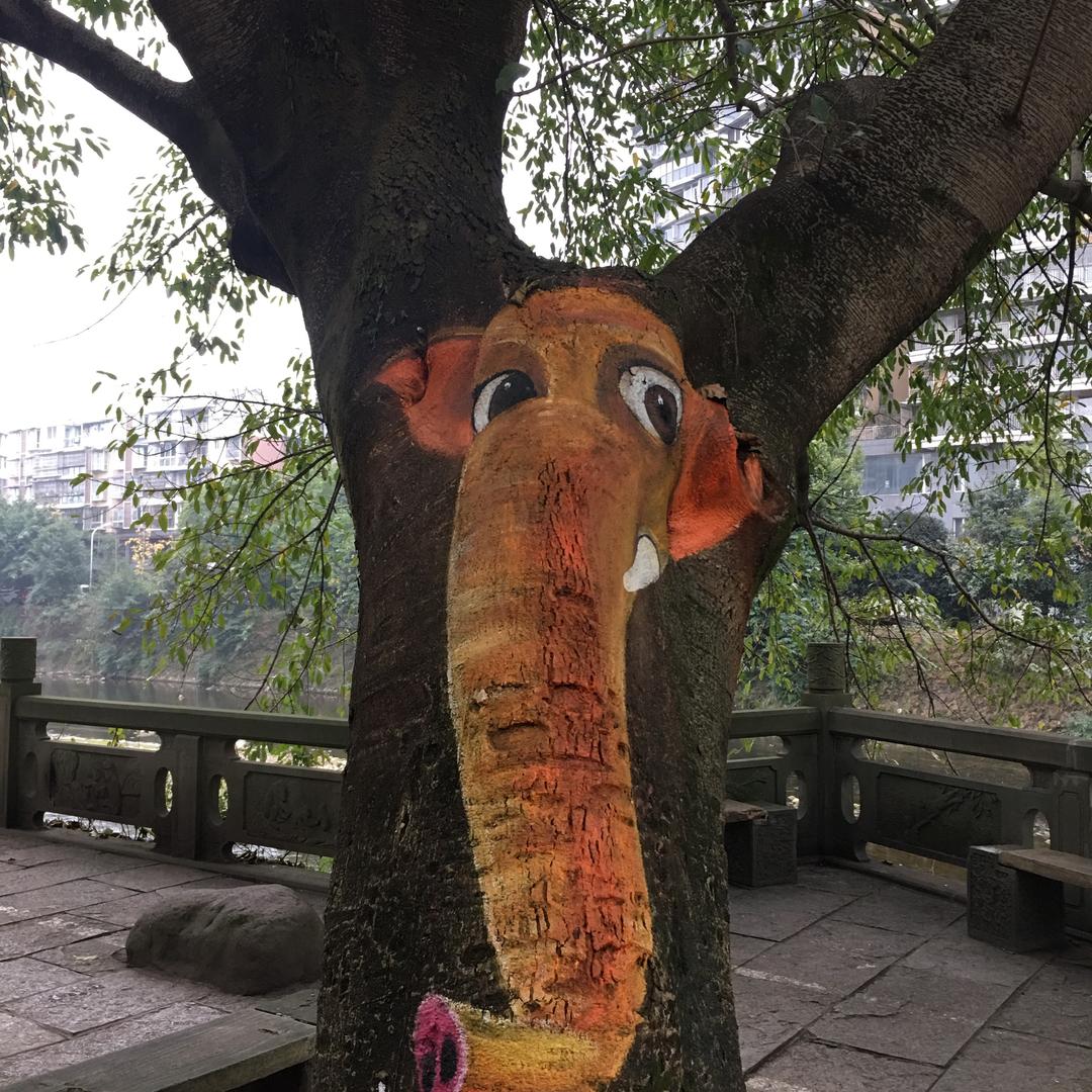狼回头！