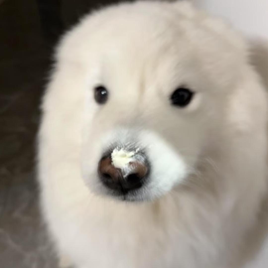 鱼若水
