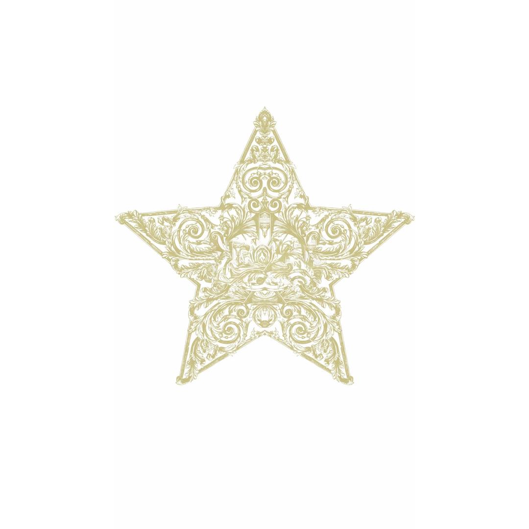 星星南油高定