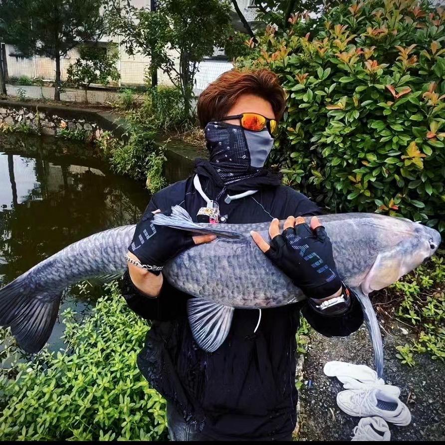 垂神-球球钓鱼🎣