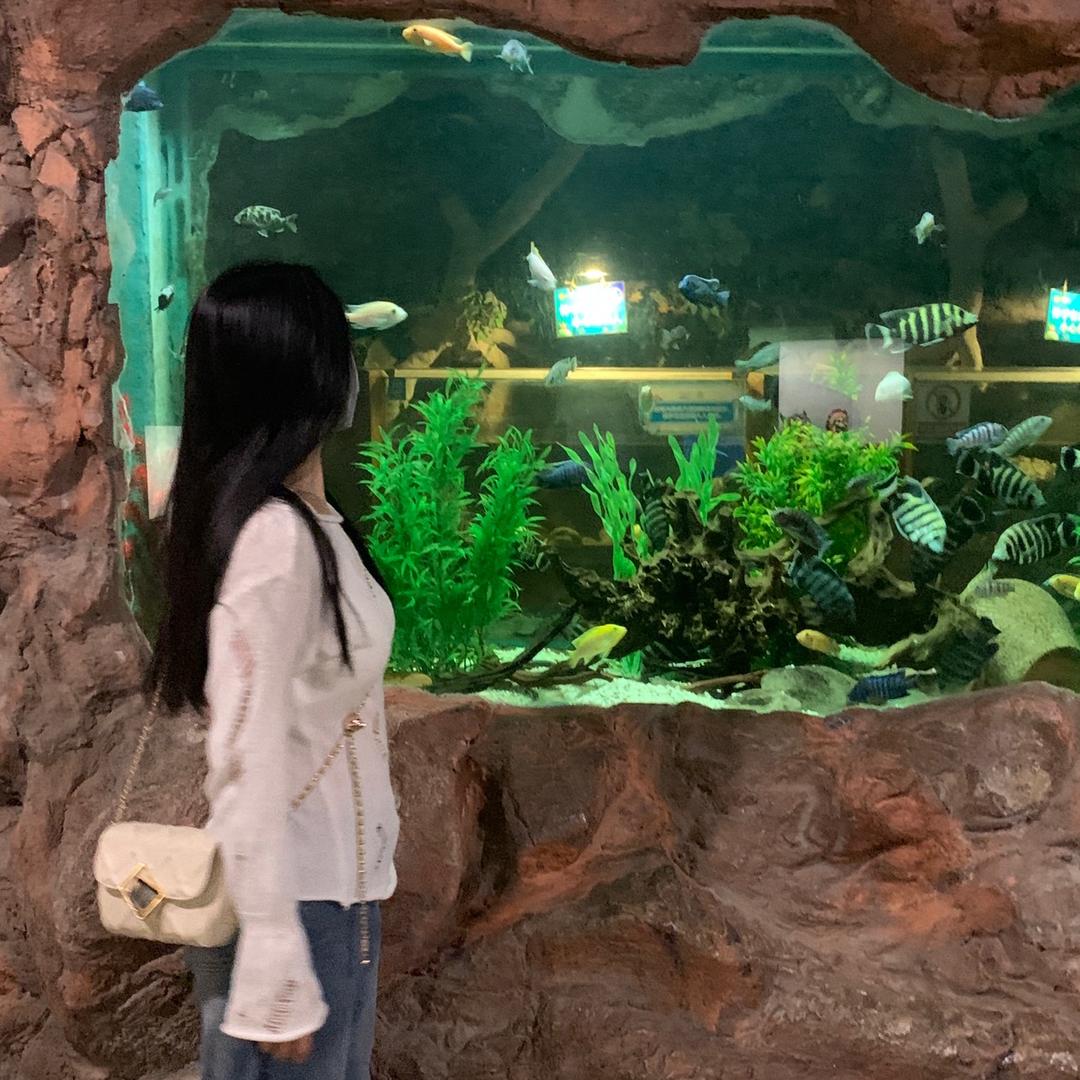 妮妮