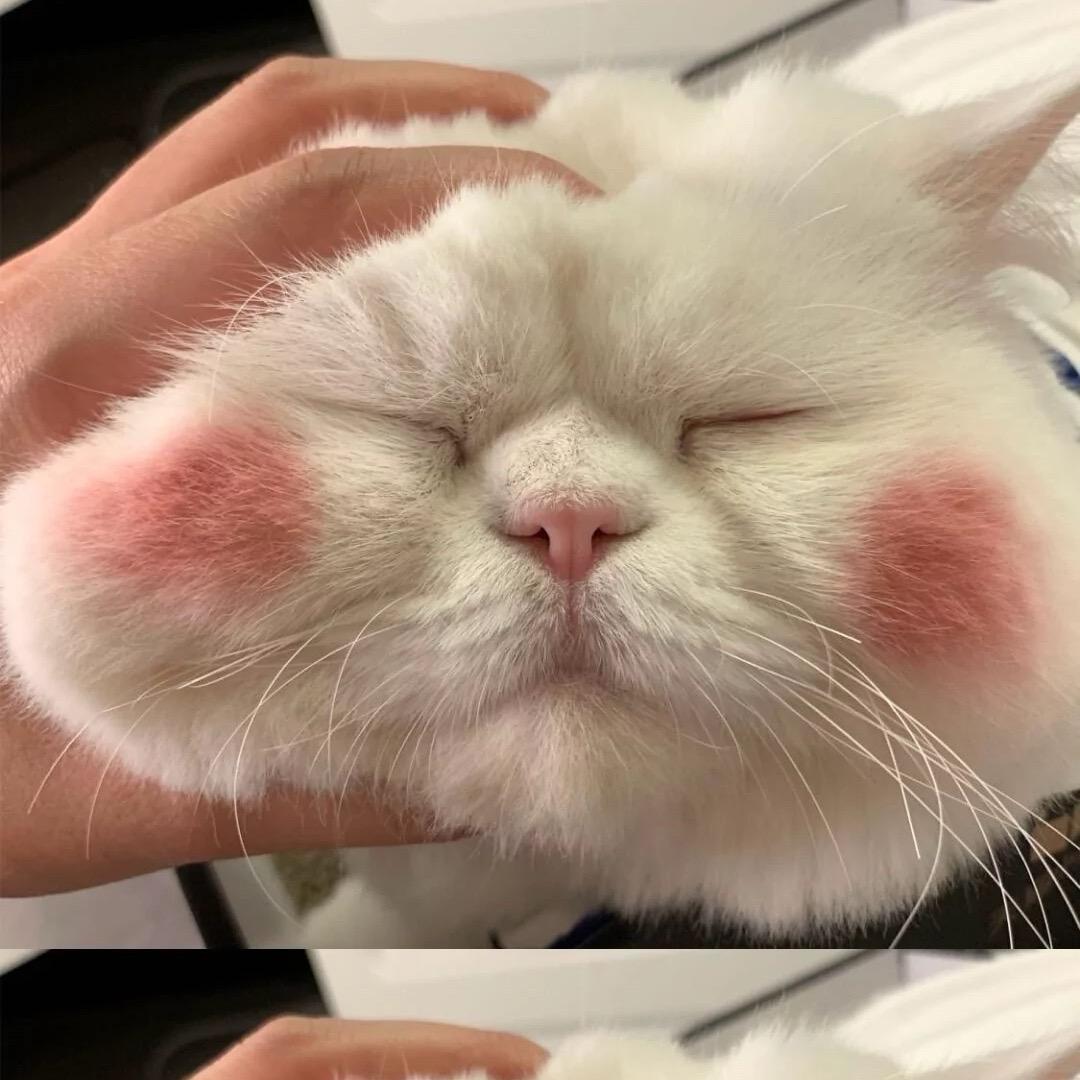 胖女孩与小摩托🏍️