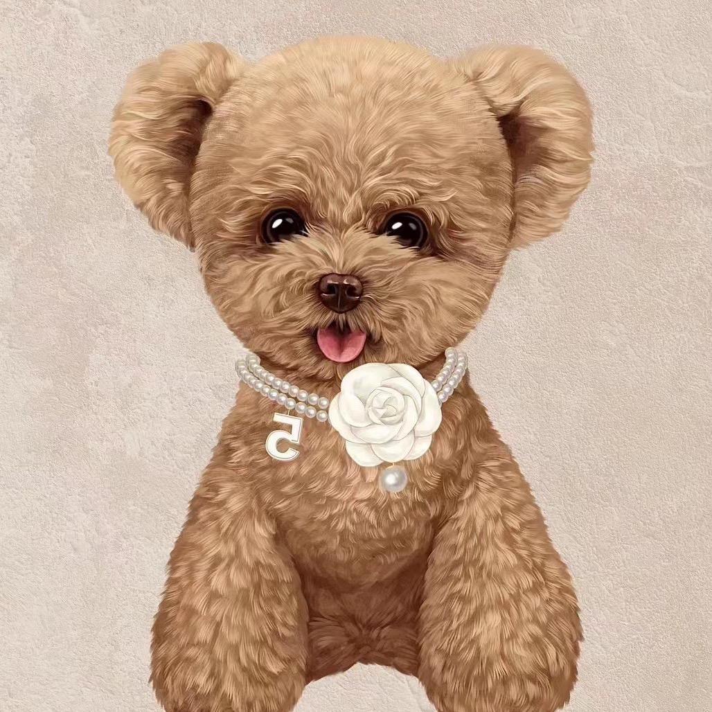 米奇是只小泰迪@抖音