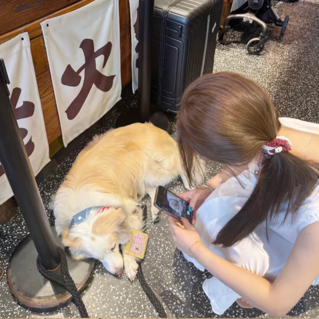小尤同学