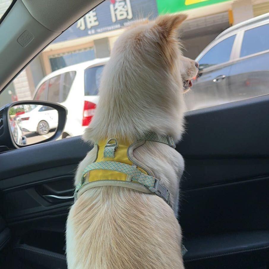 奶爸的朋友圈