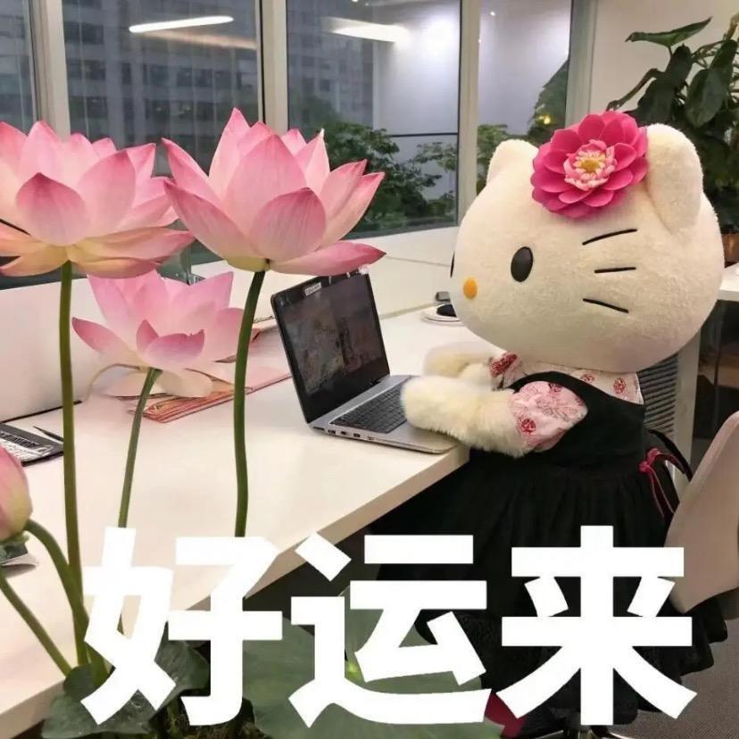 分不清大小王