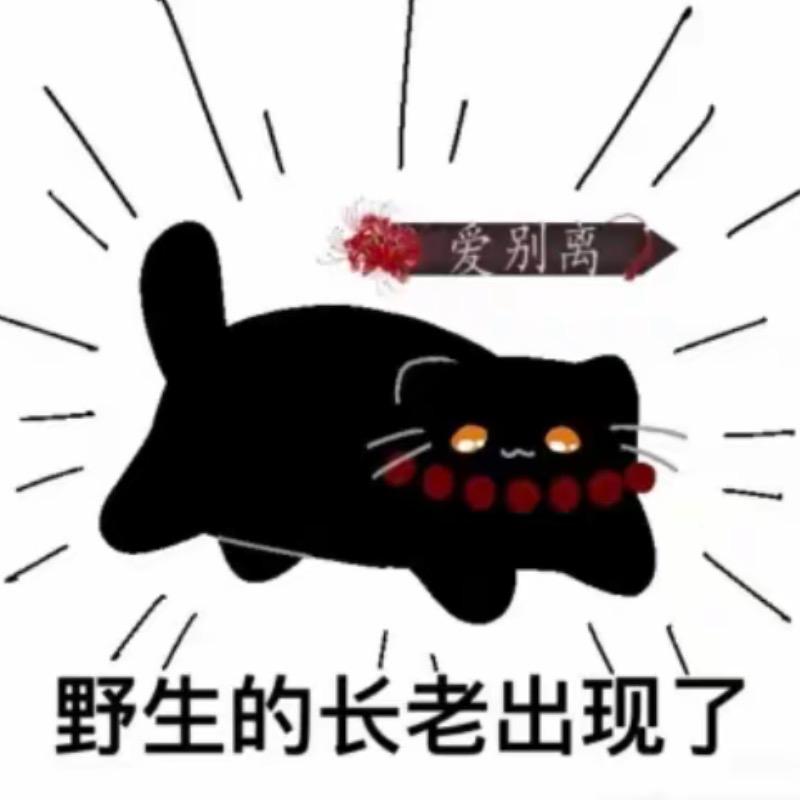 煎饼侠🫓