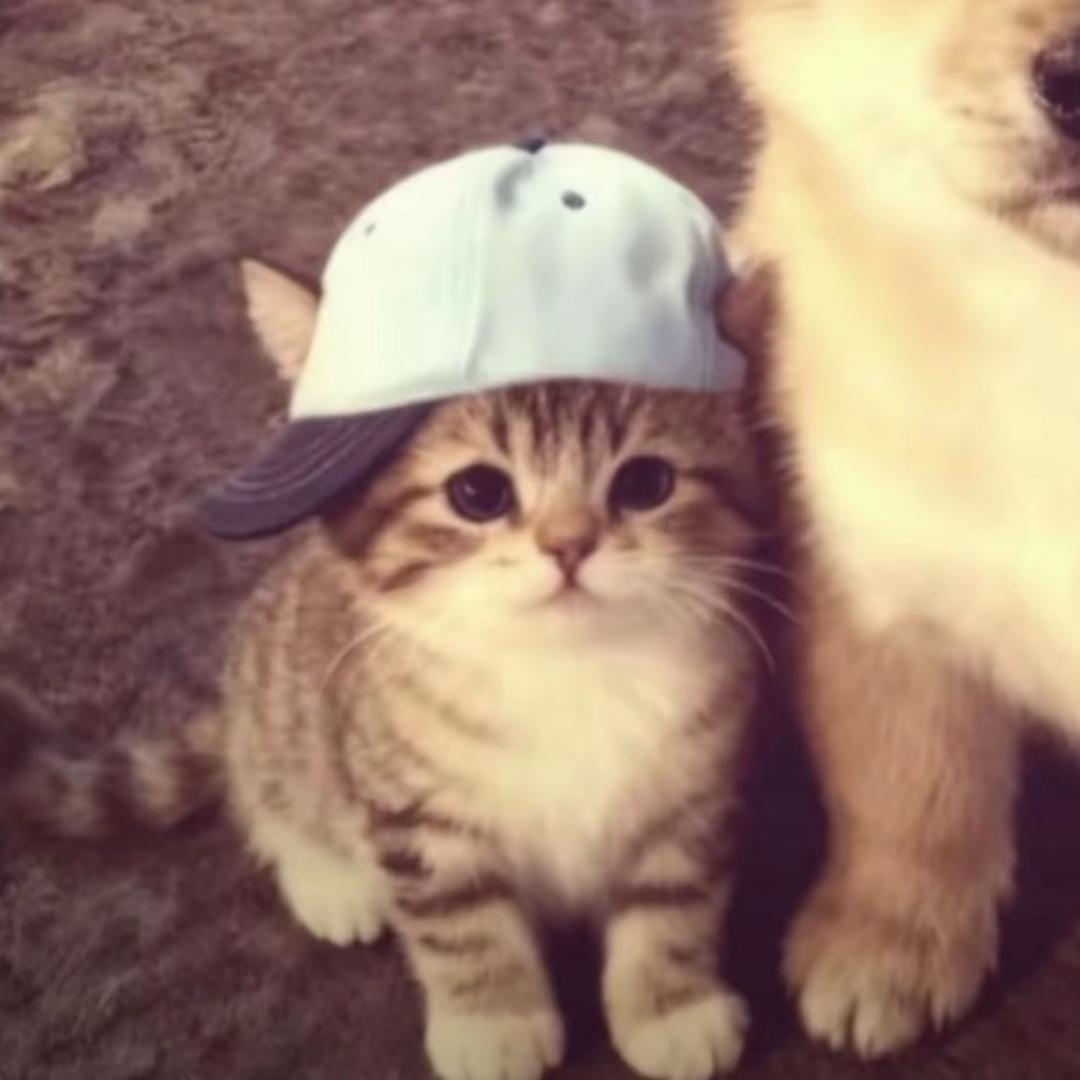 ꔷ × ꔷ