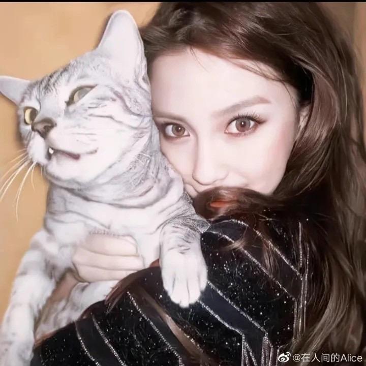 小香