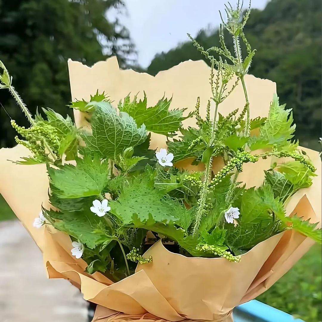 沸小聚菜市火锅官方号