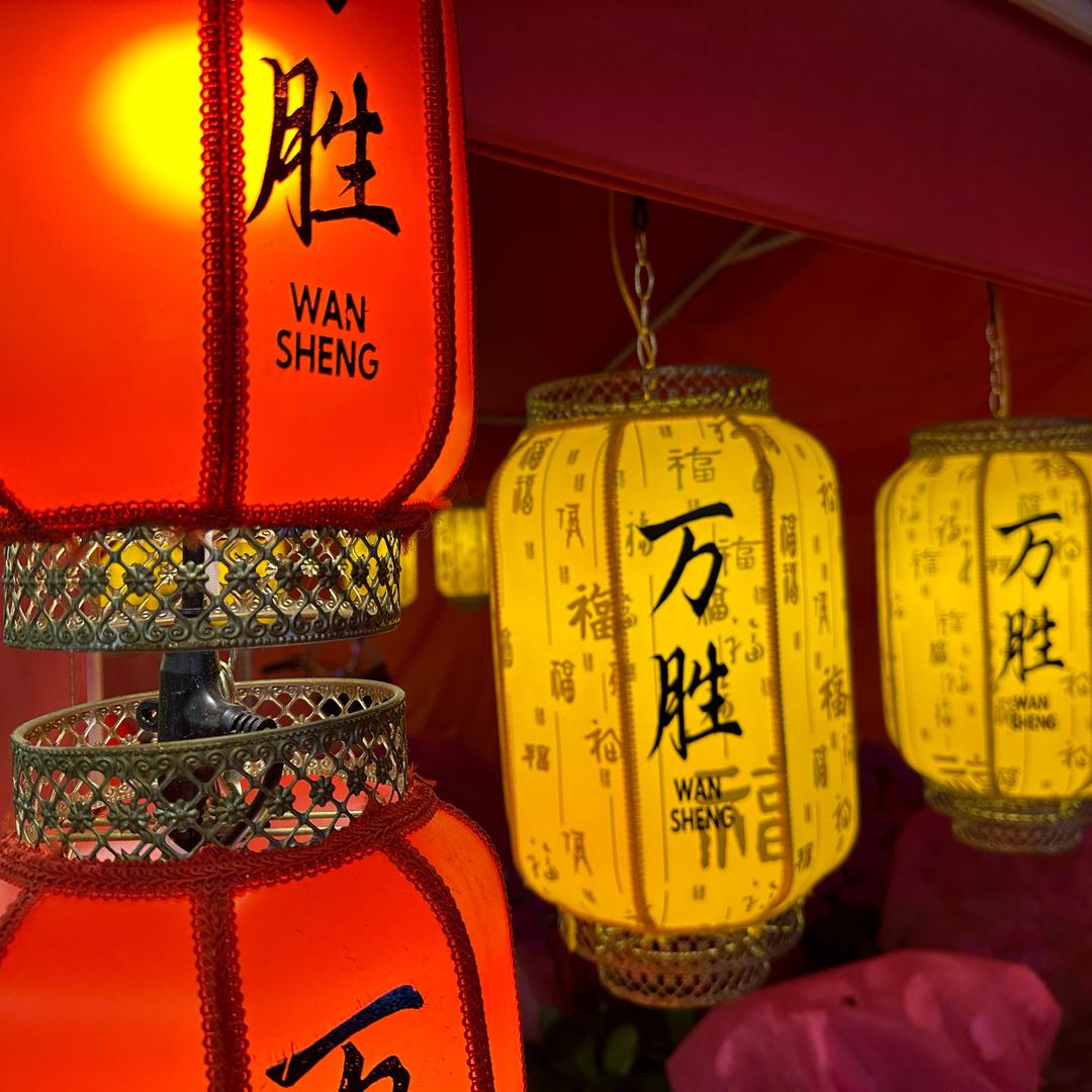 向果生戚