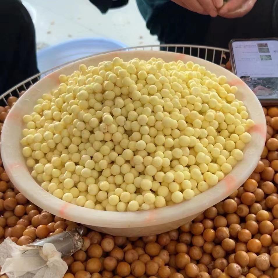 启航农家生鲜苏州鸡头米
