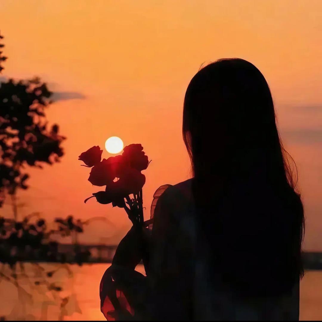 🍊    橙子
