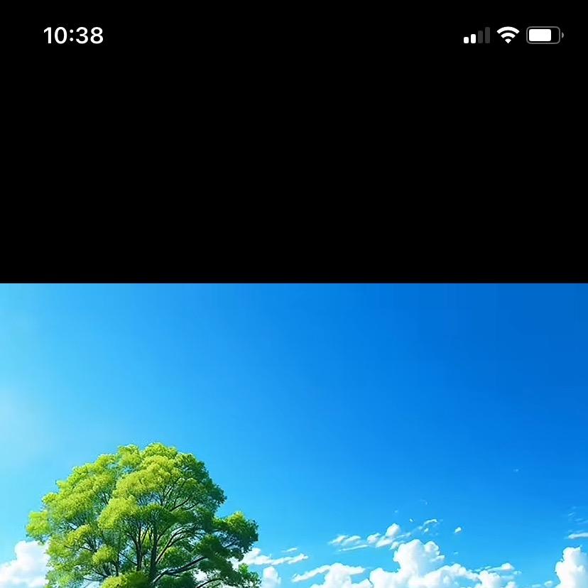 大名友柔百获十肆