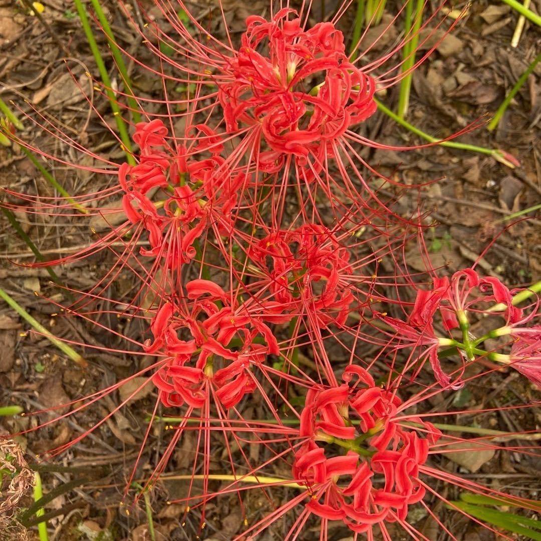 💞᭄ 㞮💞᭄ 孞💞᭄