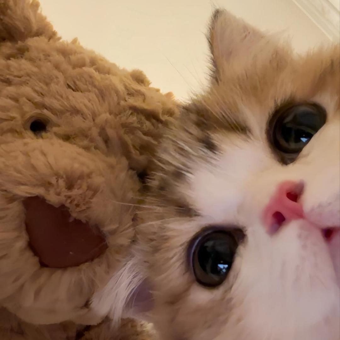 -hello