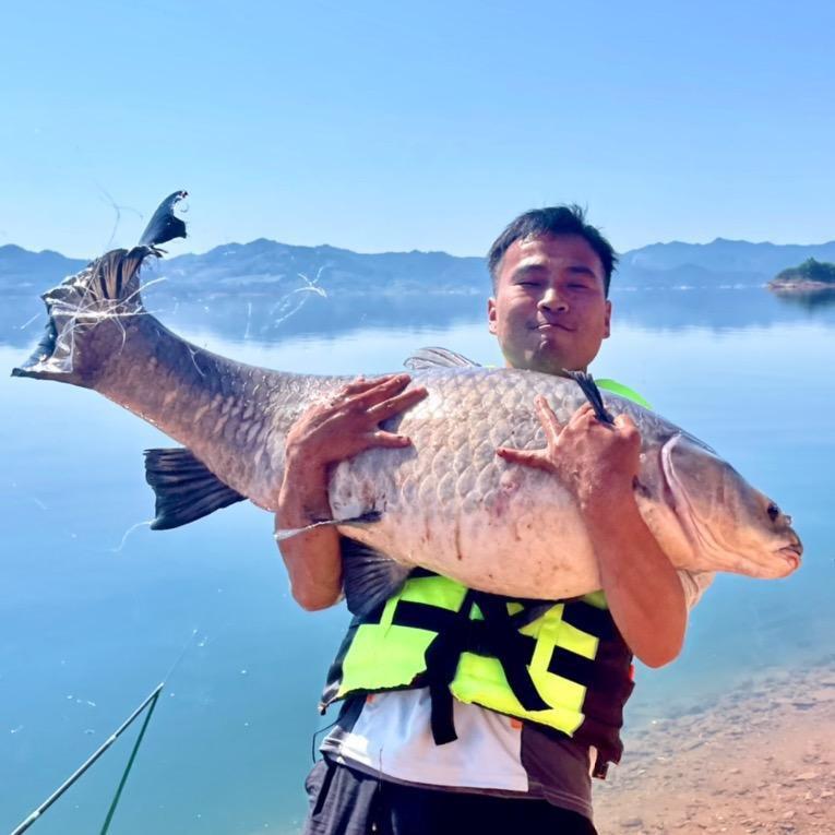 垂神-杨铁环@抖音